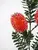 1. Artificial Banksia Spray<br>Orange thumbnail