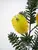 1. Artificial Banksia Spray<br>Yellow thumbnail