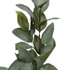 1. Artificial Broad Leaf Gum<br>Green thumbnail