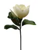 Artificial Magnolia Stem<br>White thumbnail