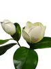 2. Artificial Magnolia Spray<br>White thumbnail