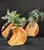 3. Bud Vase-Oak<br>Round Set x3 thumbnail