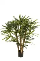 Artificial Raphis Palm<br>1.0m - Thin Leaf