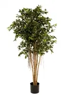 Artificial Ficus Retusa Tree<br>1.8m