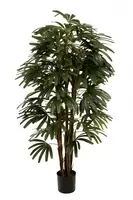 Artificial Raphis Palm<br>1.8m - Broad Leaf