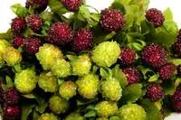 Artificial Raspberry Bunch