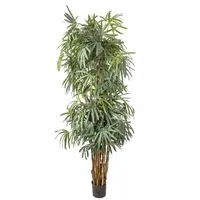 Artificial Raphis Palm<br>2.4m - Thin Leaf