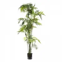 Artificial Parlour Palm<br> 2m