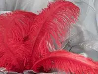 Ostrich Feather - Cherry Red