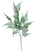 Artificial Asparagus Fern<br>74cm