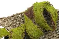 Artificial Moss Roll<BR>2M