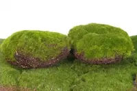 Artificial Moss Rock
