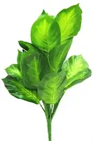 1. Artificial Dieffenbachia Bush<br>Soft Touch - 45cm thumbnail