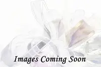 Organza Ribbon - 25mm Baby Blue