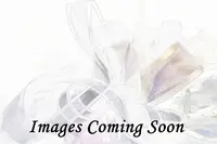Organza Ribbon - 50mm Lilac