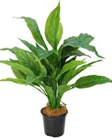 Artificial Spathiphyllum Bush<br>Soft Touch - 60cm