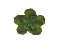 Artificial Echeveria Pick<br>Green/Red