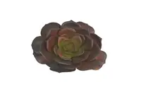 Artificial Wide Leaf Echeveria<br>Assorted