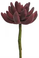 2. Artificial Sedum Succulent Clump<br>5cm thumbnail