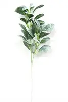 1. Artificial Lambs Ear<br>70cm thumbnail