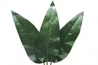 Artificial Bird of Paradise Leaf<br>101cm