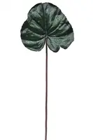 1. Artificial Ligulafia Leaf<br>65cm thumbnail