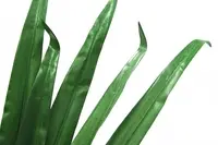 Artificial Yucca Leaf<br>90cm