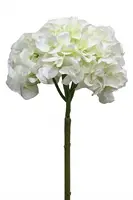 Artificial Hydrangea Large Head<br>White/White