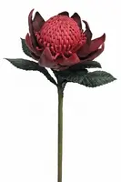 Artificial Waratah<br> Small - Red