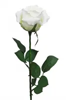 Artificial Ecuador Rose<br>White