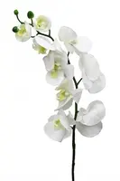 Artificial Phalaenopsis Orchid<br>White
