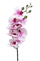 Artificial Phalaenopsis Orchid<br>White/Magenta