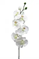 Artificial Phalaenopsis Orchid<br>White