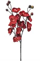 Artificial Phalaenopsis Orchid<br>Red