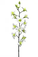 Artificial Dendrobium/Singapore Orchid<br>Cream