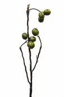 Artificial Walnut Berry Branch<br>Green