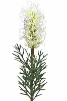 Artificial Grevillea<br>Cream