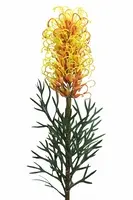 Artificial Grevillea<br>Orange