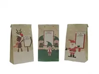 Xmas Party Bags - Paper