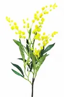 Artificial Wattle<br>Yellow