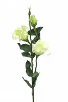 Artificial Lisianthus<br>Lime