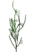 Artificial Waxflower Spray<br>Cream