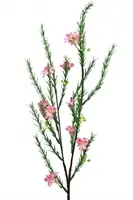 Artificial Waxflower Spray<br>Pink