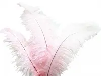 Ostrich Feather<br>Pale Pink