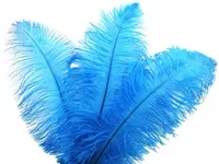 Ostrich Feather<br>Aqua