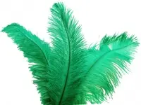 Ostrich Feather<br>Apple Green