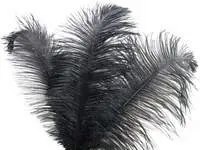 Ostrich Feather<br>Black