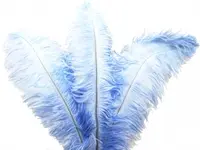 Ostrich Feather<br>Light Blue