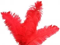 Ostrich Feather<br>Red
