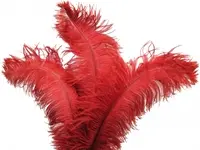 Ostrich Feather<br>Dark Red